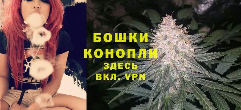 Бошки марихуана THC 21%  блэк спрут маркетплейс  Ессентуки 